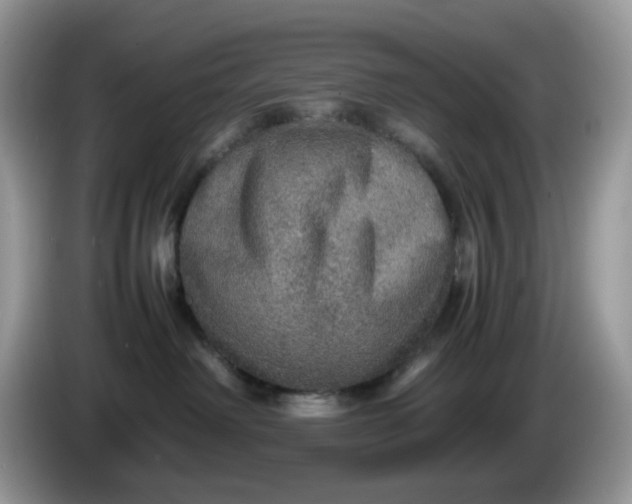 X0000086230238200704121921