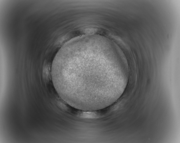 X0000086230240200704121921