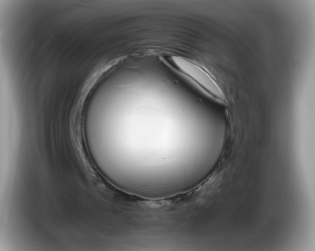 X0000086230241200704121920