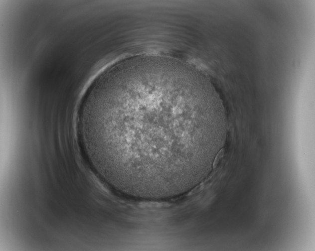 X0000086230242200704121920