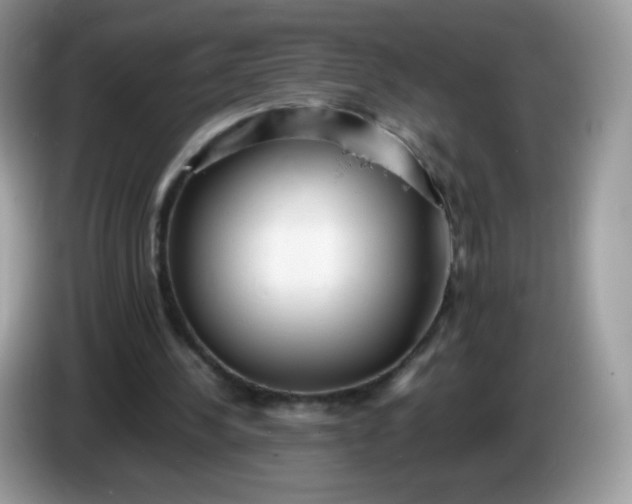 X0000086230244200704121920