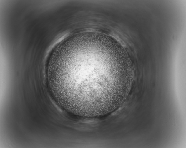 X0000086230245200704121920