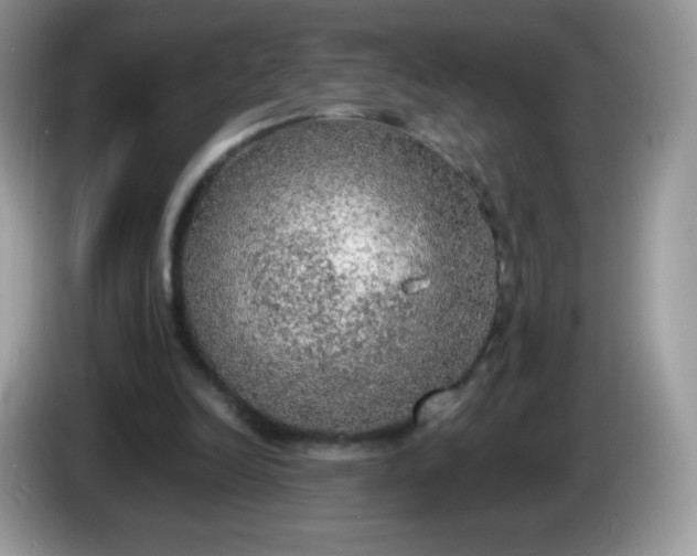 X0000086230246200704121920