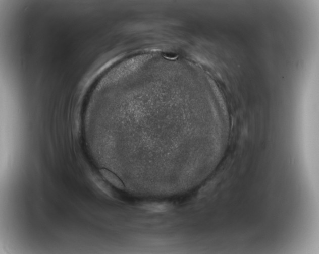 X0000086230247200704121920