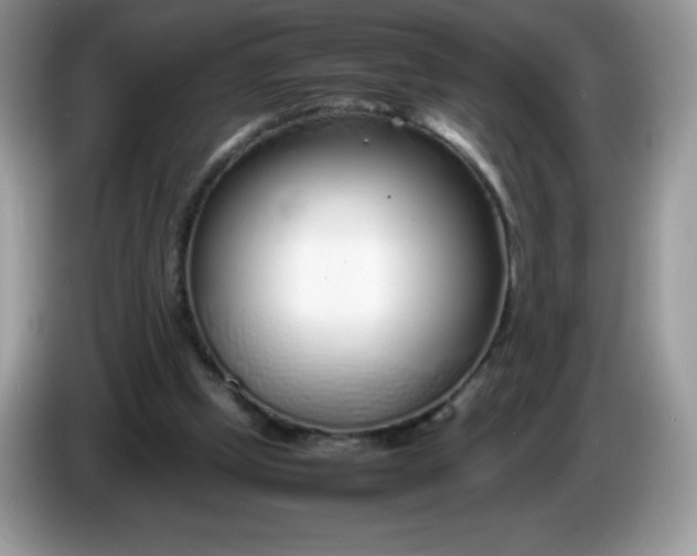 X0000086230249200704121920