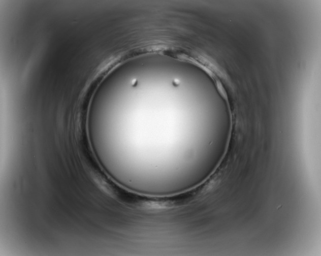 X0000086230250200704121920