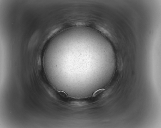 X0000086230251200704121920