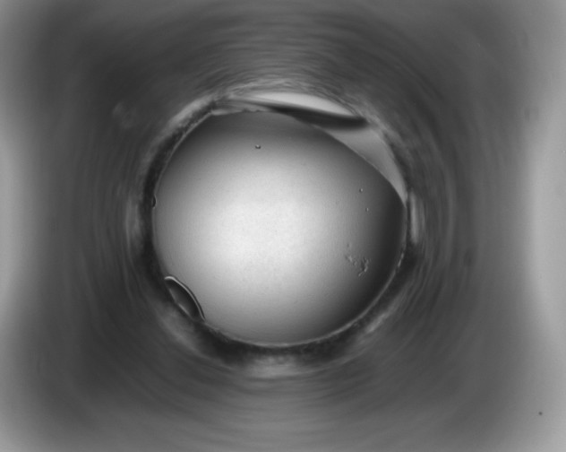 X0000086230252200704121920