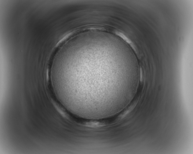 X0000086230253200704121920