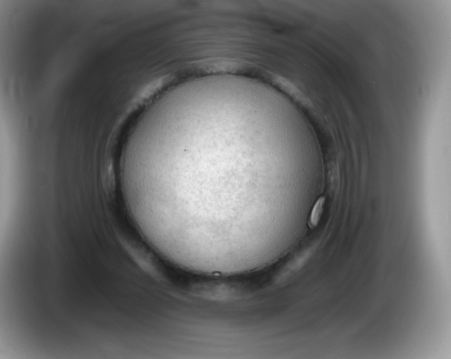 X0000086230254200704121920