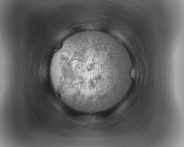 X0000086230255200704121921