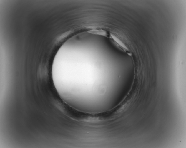 X0000086230256200704121921