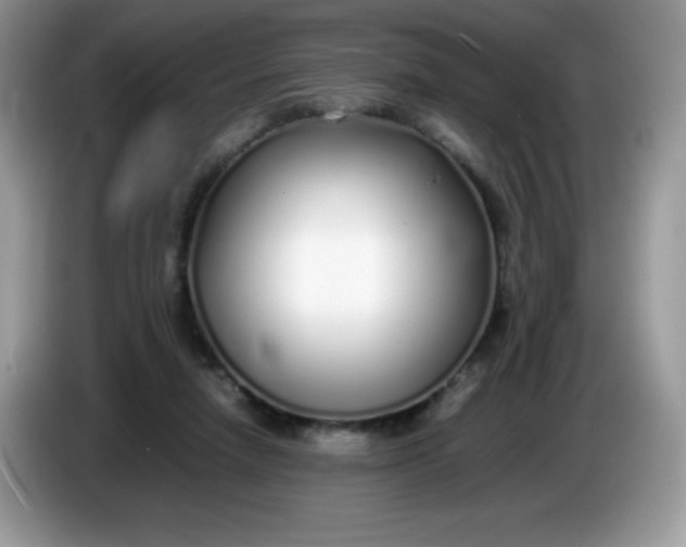 X0000086230258200704121921