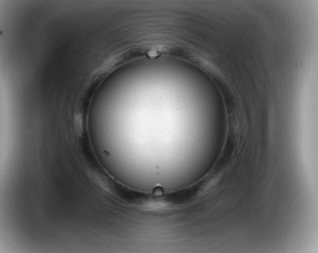 X0000086230262200704121921