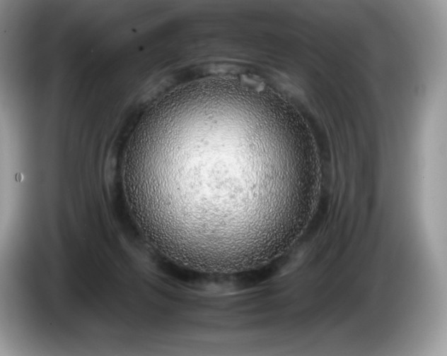 X0000086230263200704121921