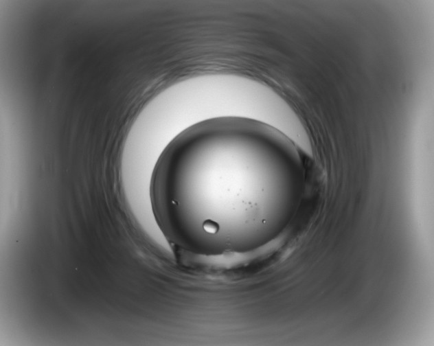 X0000086230264200704121921