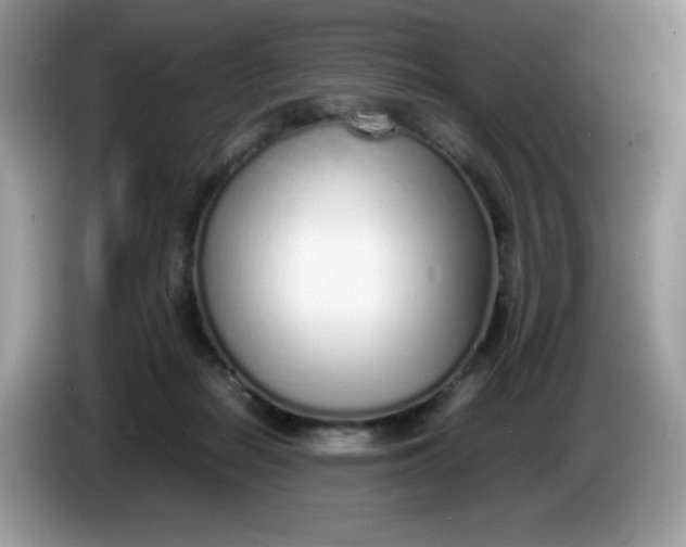 X0000086230266200704121921