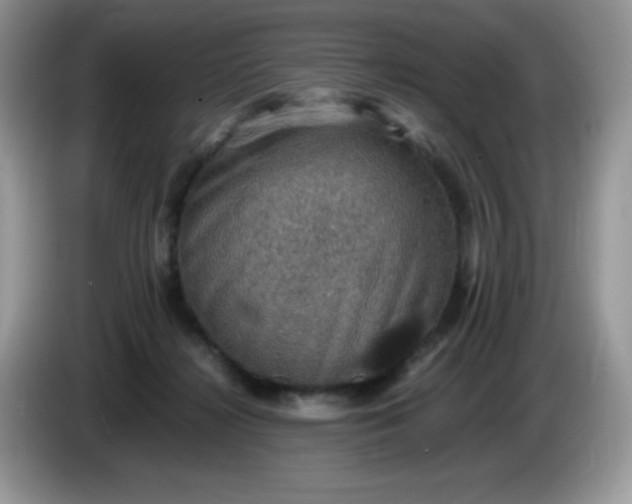 X0000086230268200704121921