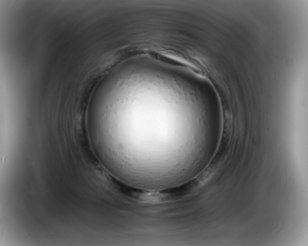 X0000086230269200704121921