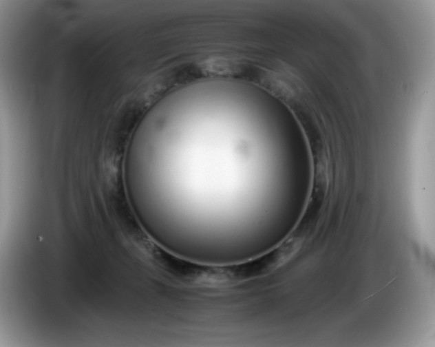 X0000086230271200704121921