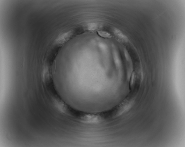 X0000086230272200704121921