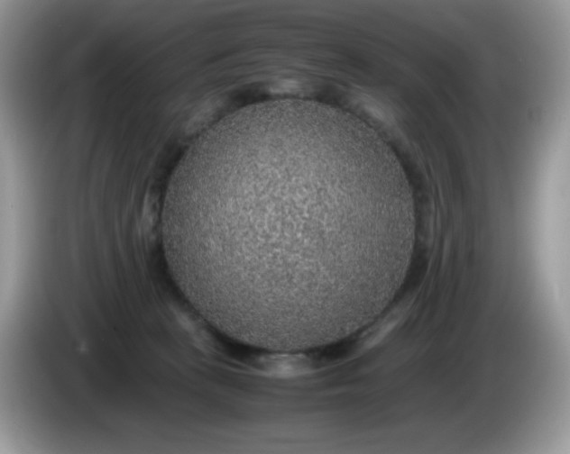 X0000086230273200704121921