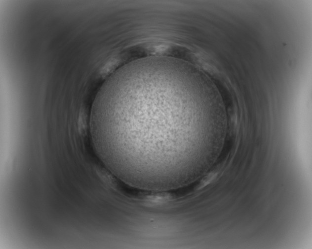 X0000086230274200704121921