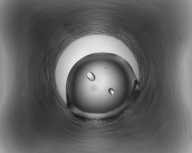 X0000086230276200704121921