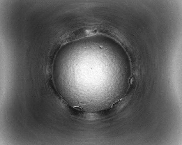 X0000086230277200704121921