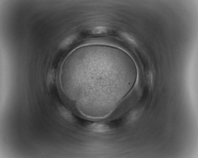 X0000086230280200704121921