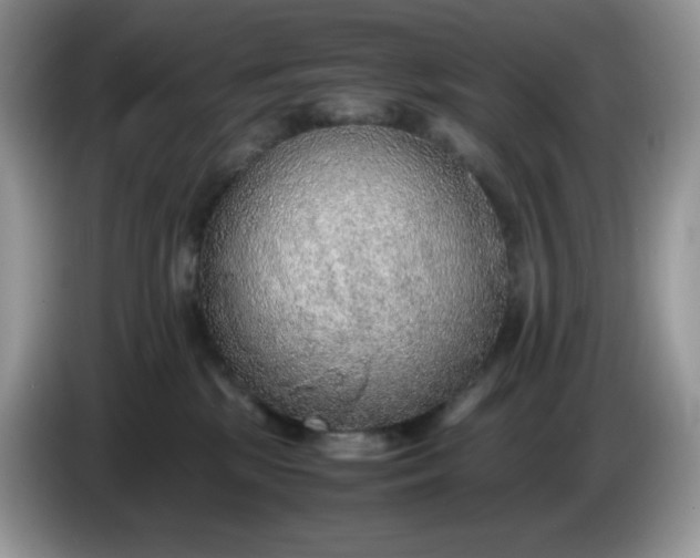 X0000086230281200704121921