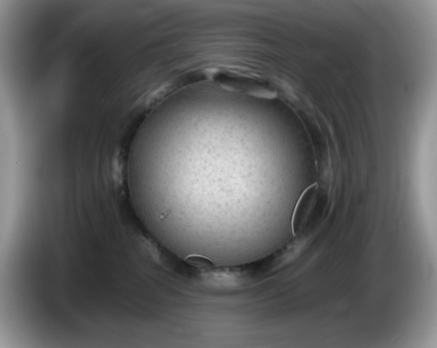 X0000086230282200704121921