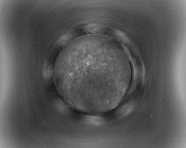 X0000086230284200704121921