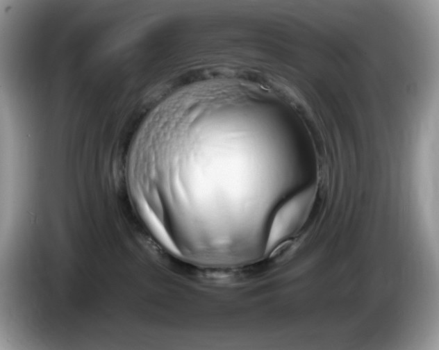 X0000086230285200704121921