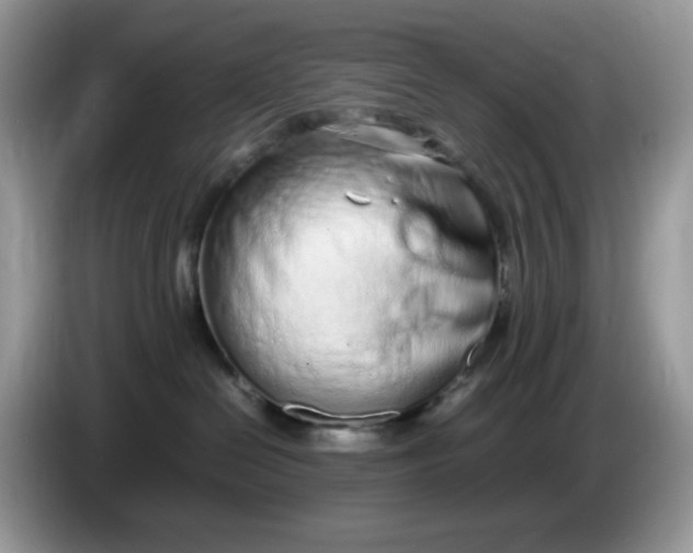 X0000086230286200704121921