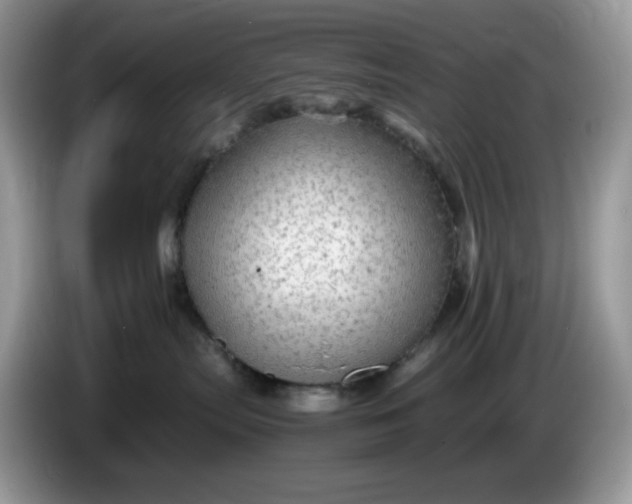 X0000086230287200704121921