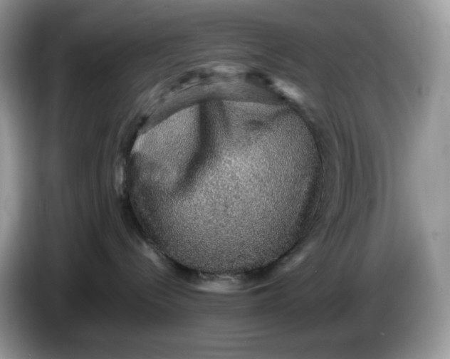 X0000086230288200704121921