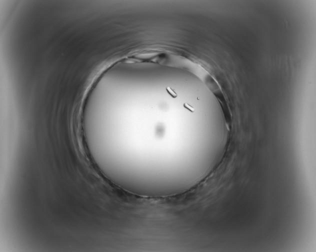 X0000086230289200704121920