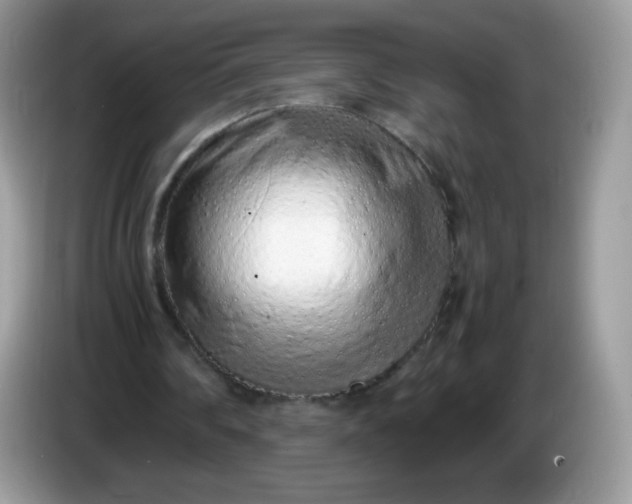 X0000086230290200704121920