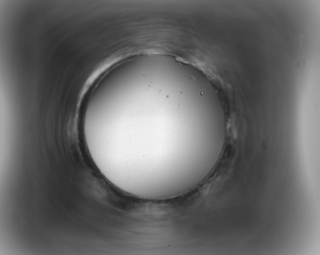 X0000086230292200704121920