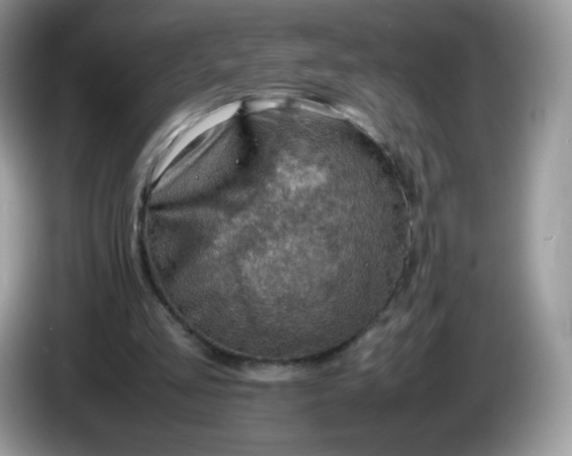 X0000086230293200704121920