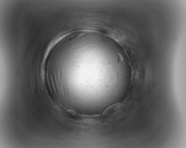 X0000086230294200704121920