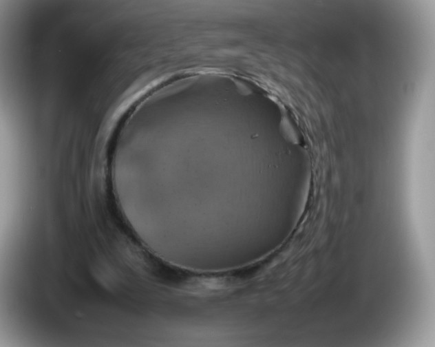 X0000086230295200704121920