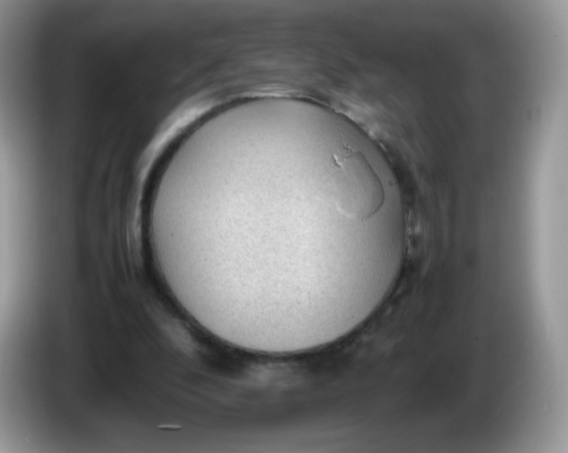 X0000086230296200704121920