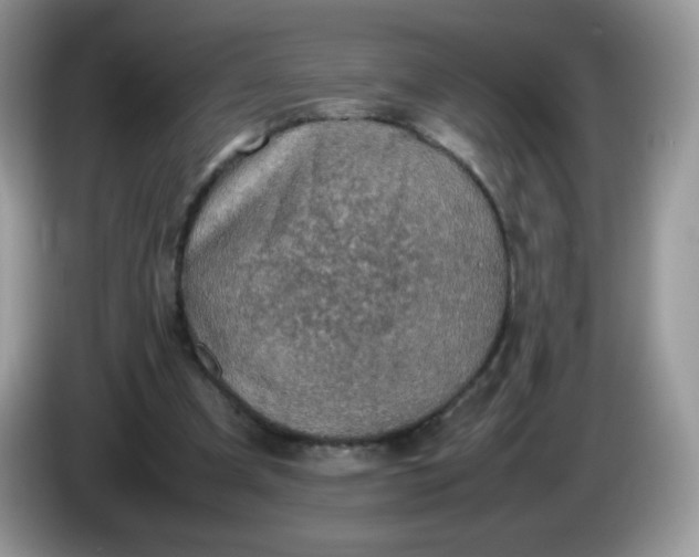 X0000086230297200704121920