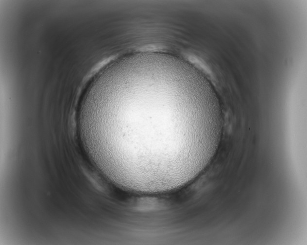 X0000086230298200704121920