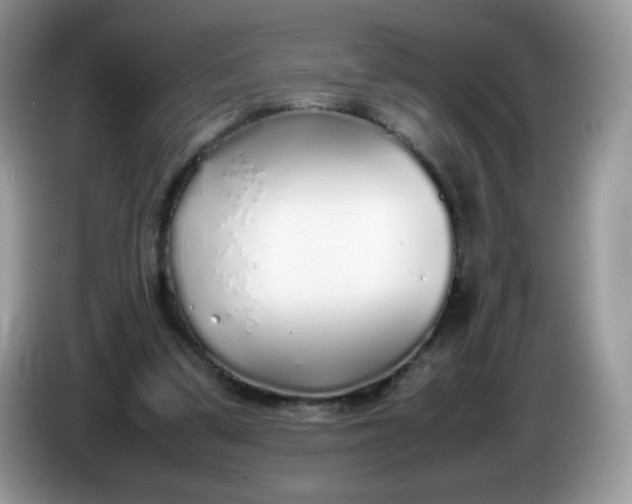 X0000086230299200704121920