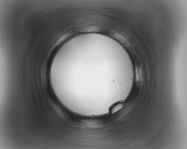 X0000086230300200704121920