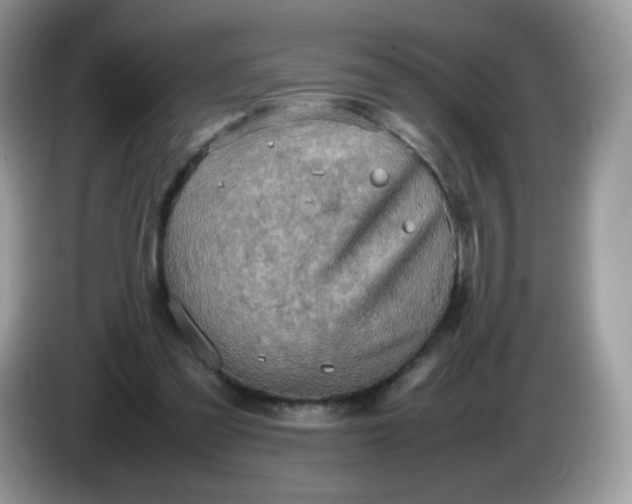 X0000086230301200704121920