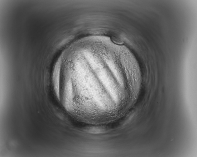 X0000086230303200704121920